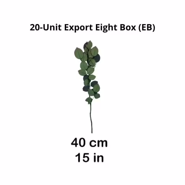 Preserved Rose Stems – Export
