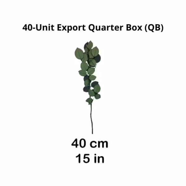 Preserved Rose Stems – Export