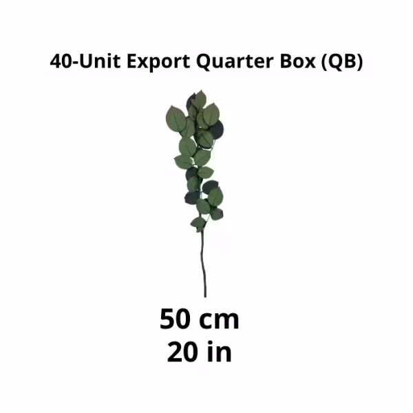 Preserved Rose Stems – Export