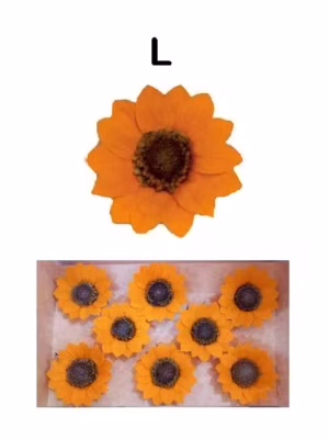 11. Large Preserved Sunflowers