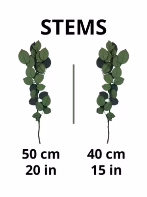 Preserved Rose Stems – Export