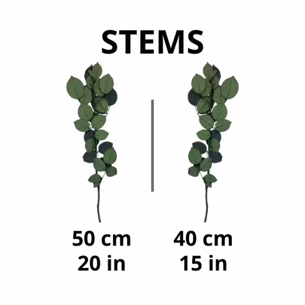 Preserved Rose Stems – Export
