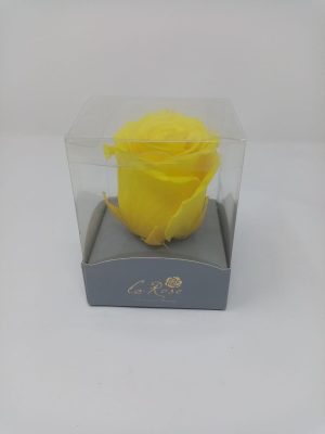 10. Single Preserved Rose – Gray Gift Box (15-Unit Export Eight Box)