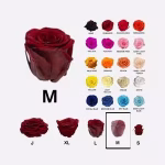 medium colores de rosas Medium Preserved Roses – 18-Unit Export Eight Box (EB)