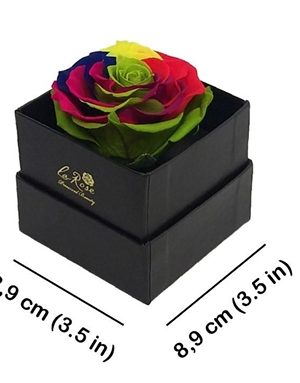 2. Rainbow Preserved Rose – Black Gift Box (15-Unit Export Eight Box)