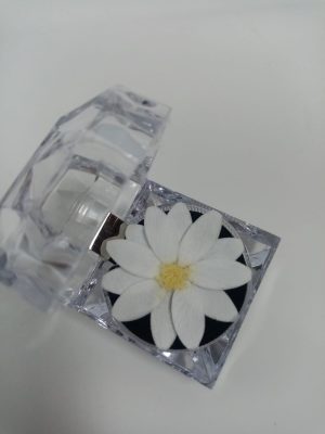 Petit Fleurs Acrylic Ring Box with Scented Mini Daisy (1) Petit Fleurs Acrylic Ring Box with Scented Mini Daisy (96-Unit Export Eight Box)