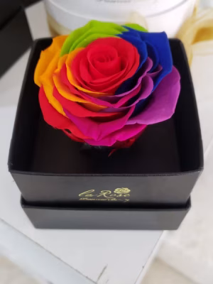 Rainbow Preserved Rose – Black Gift Box (15-Unit Export Eight Box)