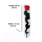 rose and stem medidas 56 cm Preserved Rose on Stem – 8-Unit Export Quarter Box